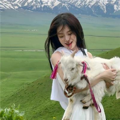 野良猫洛克:女番长
